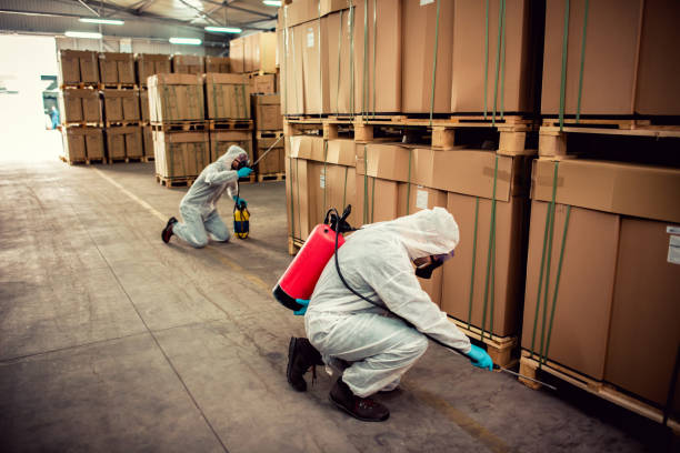 Best Pest Removal Services  in Hamtramck, MI