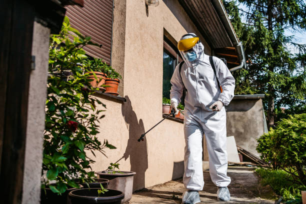 Best Best Pest Control Companies  in Hamtramck, MI