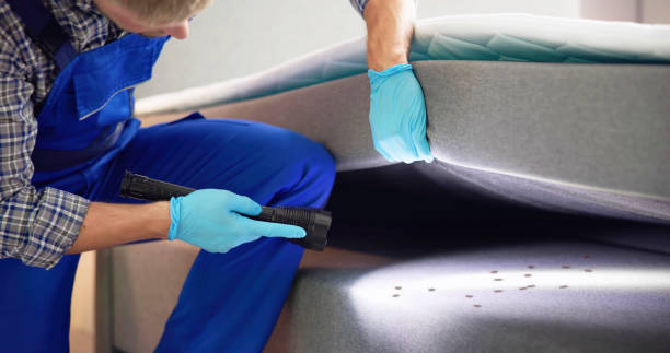 Best Affordable Pest Control Services  in Hamtramck, MI
