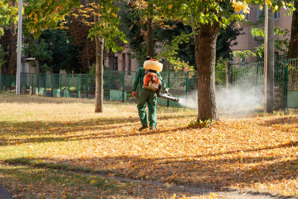 Hamtramck, MI Pest Control Company