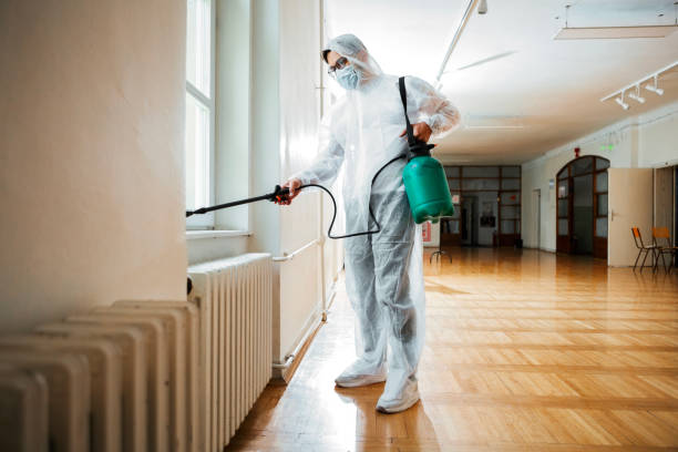 Best Pest Prevention Services  in Hamtramck, MI