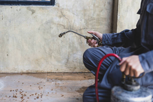 Best Wasp Removal Services  in Hamtramck, MI